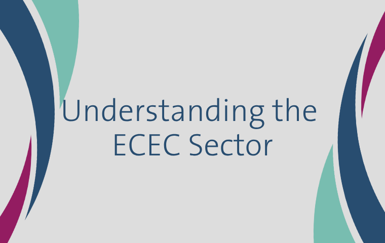 Video 12: Understanding the ECEC Sector