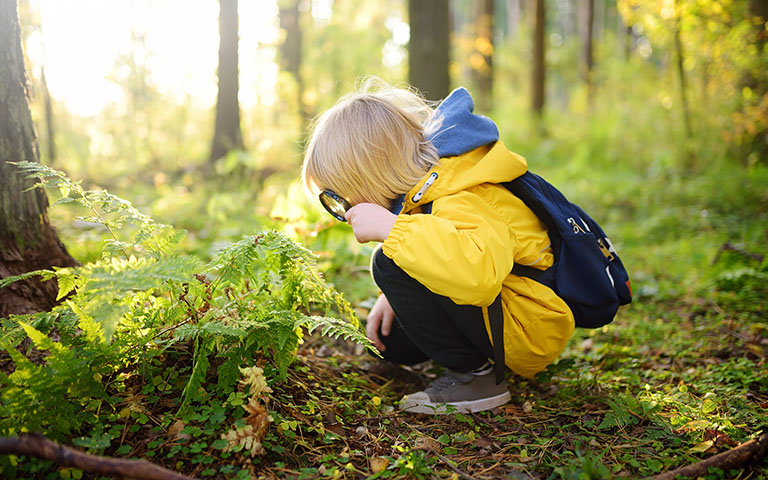 Bush kinder funding grant